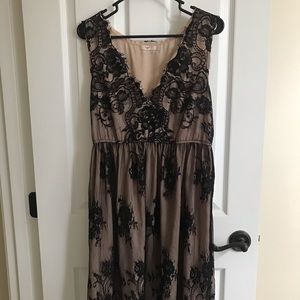 Hazel brand nude black lace dress